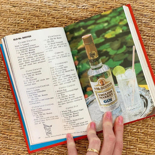 Deluxe Official Bartender's Guide (1978)
