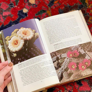 Wildflowers of North America (1961)