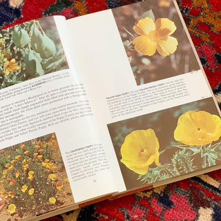Wildflowers of North America (1961)