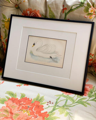 Mute Swan, Antique Hand-Colored Engraving (1888)