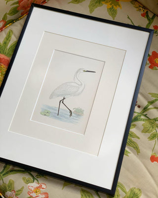 Little Egret, Antique Hand-Colored Engraving (1851)