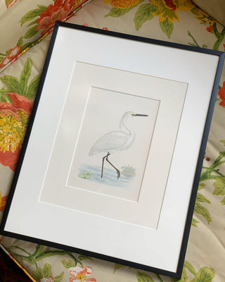 Little Egret, Antique Hand-Colored Engraving (1851)
