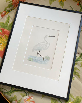 Little Egret, Antique Hand-Colored Engraving (1851)
