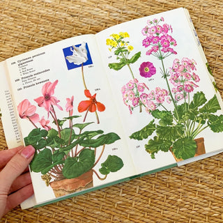 Pocket Encyclopedia of Indoor Plants (1975)