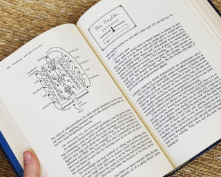 Emily Post's Etiquette Book (1969)