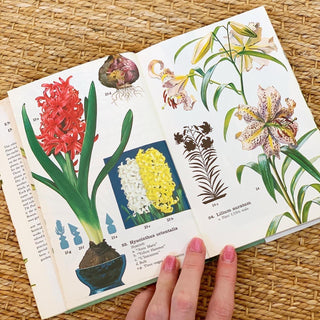 Pocket Encyclopedia of Indoor Plants (1975)