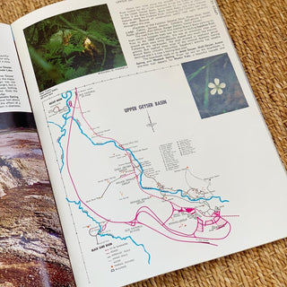 Yellowstone National Park by National Parkways (1971)