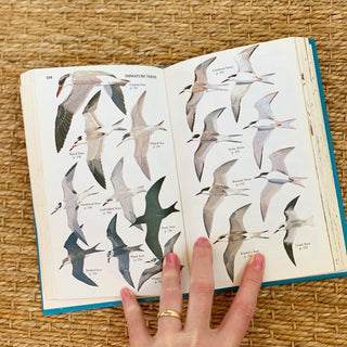 Field Guide to Birds of North America (1983)