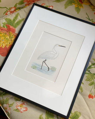 Little Egret, Antique Hand-Colored Engraving (1851)