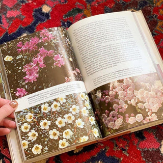 Wildflowers of North America (1961)
