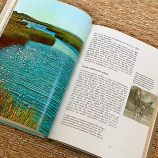 The Life of the Marsh (1969)