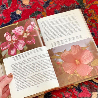 Wildflowers of North America (1961)
