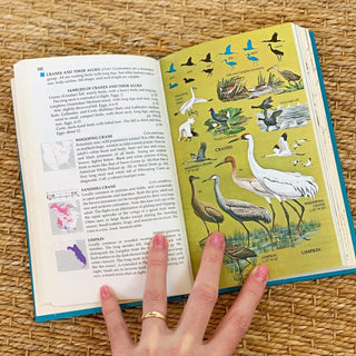 Field Guide to Birds of North America (1983)