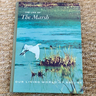 The Life of the Marsh (1969)