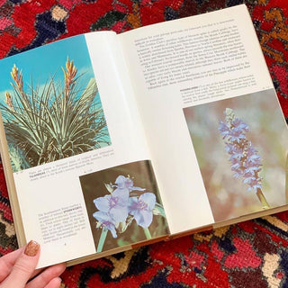 Wildflowers of North America (1961)