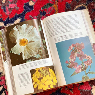 Wildflowers of North America (1961)