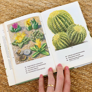 Pocket Encyclopedia of Indoor Plants (1975)