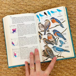 Field Guide to Birds of North America (1983)
