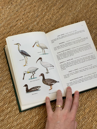 Field Guide to Birds in Japan Nature Book (1974)
