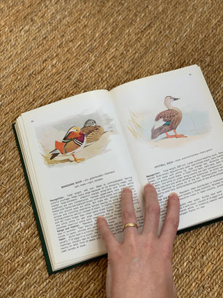 Field Guide to Birds in Japan Nature Book (1974)
