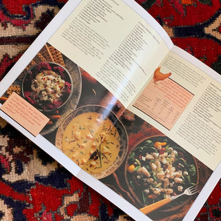 Catfish Recipe Book by the Catfish Institute of Mississippi (1993)