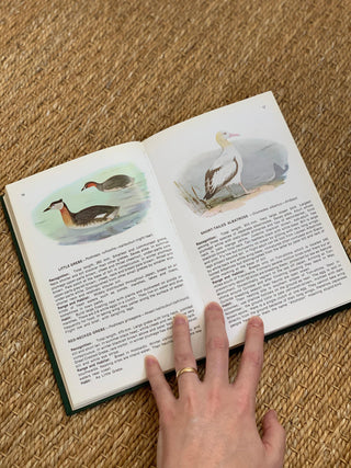 Field Guide to Birds in Japan Nature Book (1974)