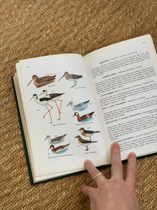 Field Guide to Birds in Japan Nature Book (1974)
