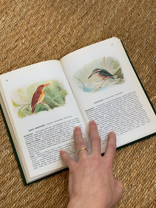 Field Guide to Birds in Japan Nature Book (1974)