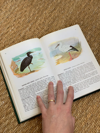 Field Guide to Birds in Japan Nature Book (1974)