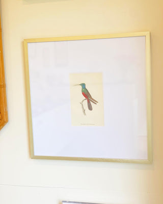 Antique Hand-Colored Hummingbirds, Set of 4 (1800)