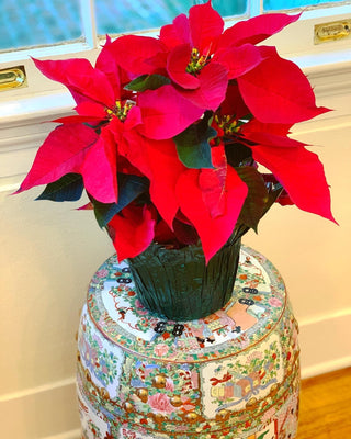 Rose Medallion Garden Stool