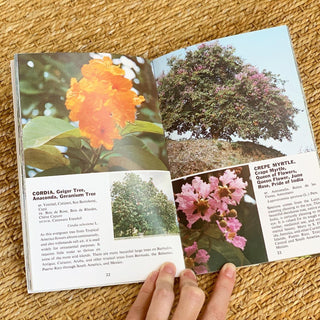 Tropical Trees Book (1960)