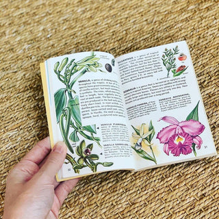 1980s Guide to Orchids