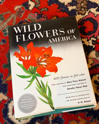 Wildflowers of America (1978)