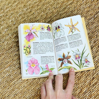 1980s Guide to Orchids