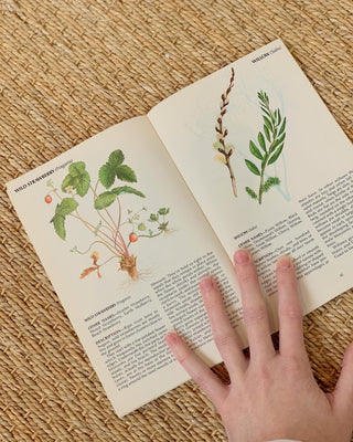 1970s Field Guide To Wild Herbs