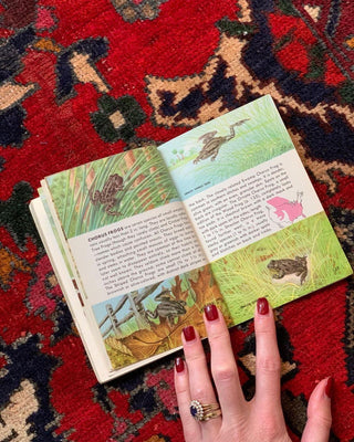Reptiles & Amphibians Golden Guide (1956)
