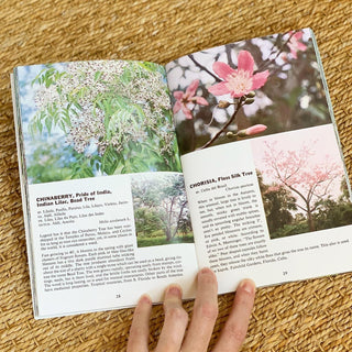 Tropical Trees Book (1960)