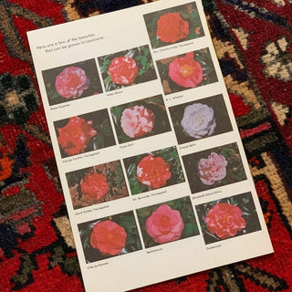 Camellia Flower Guide (1976)