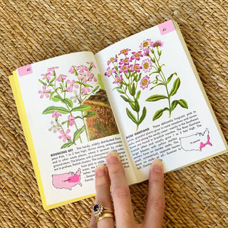 Flowers Golden Guide (1950)