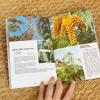 Tropical Trees Book (1960)