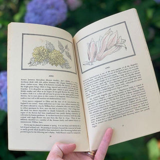 1940s Flowers that Bloom in Spring Guidebook