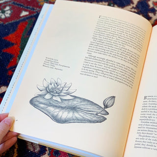A Sampler of Wayside Herbs (First Edition, 1974)