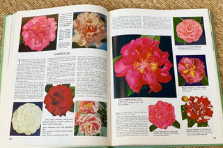 "The Complete Guide to Garden Flowers" (1961)