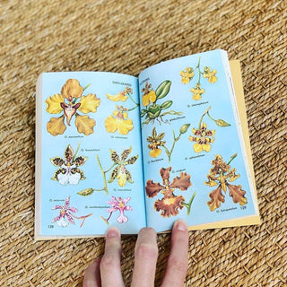 1980s Guide to Orchids