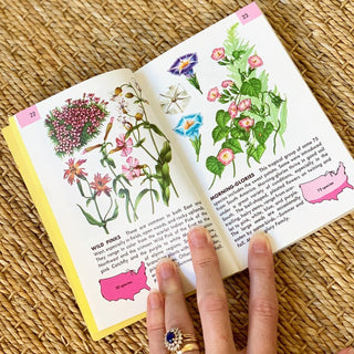 Flowers Golden Guide (1950)