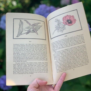 1940s Flowers that Bloom in Spring Guidebook