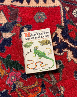 Reptiles & Amphibians Golden Guide (1956)