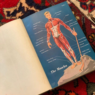 Health & Fitness Textbook (1957)