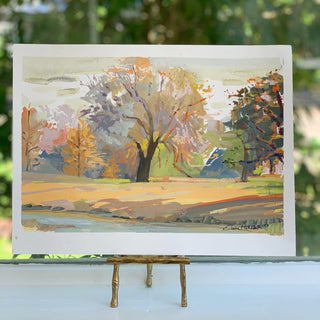 “Colorful Landscape" by Steve Mercer